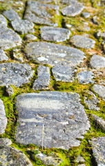 stones of an ancient path and moss