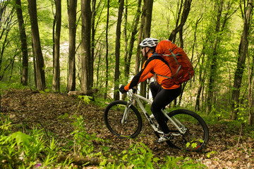 Naklejka premium Biker on the forest road