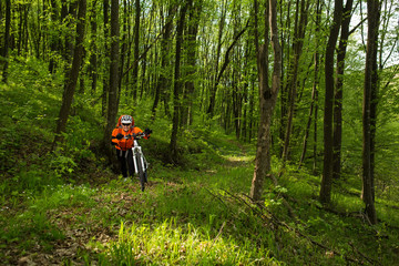 Biker on the forest road
