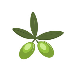 olive vector icon olive oil, symbol sign, branch
