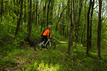 Naklejka premium Cyclist Riding the Bike on a Trail in Summer Forest