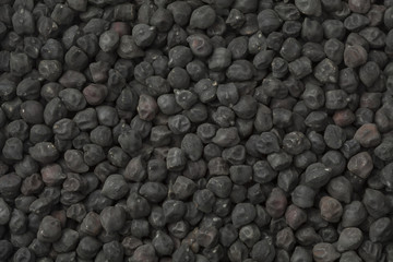  Black Ceci neri chickpeas