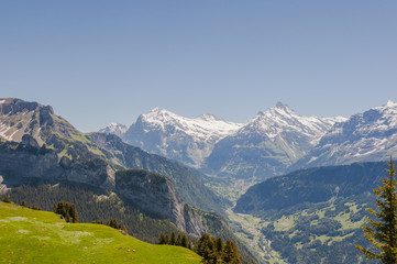 Grindelwald, Berner Oberland, Alpen, Schynige Platte, Wetterhorn, Schreckhorn, Eiger, Schweizer Berge, Wanderweg, Wanderferien, Sommer, Schweiz