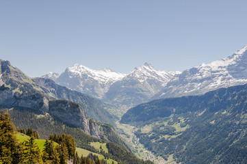 Fototapeta na wymiar Grindelwald, Alpen, Berner Oberland, Schynige Platte, Schreckhorn, Wetterhorn, Engelhörner, Bergtal, Wanderweg, Schweizer Berge, Sommer, Schweiz
