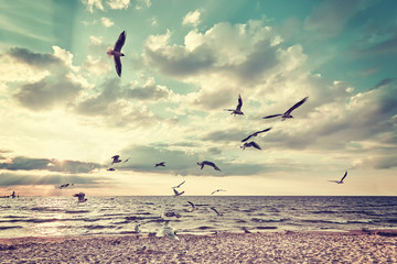 Retro stylized beach with flying birds at sunset