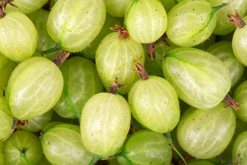 Gooseberry background