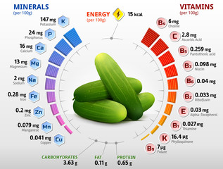 Vitamins and minerals of cucumber fruit. Infographics about nutrients in cuke with peel. Qualitative vector image for cucumber, agriculture, veggies, cooking, farming, gastronomy, olericulture, etc