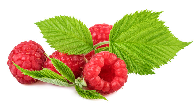 raspberries with leaves on white