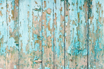 The old fence boards with chink. Painted light blue paint.
