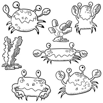 Vector set with doodle crab and algae