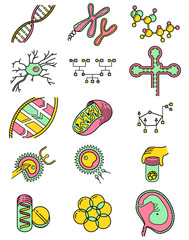 Vector science icons set with genetic and microbiologic objects