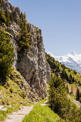 Interlaken, Schynige Platte, Wanderweg, Alpen, Schweizer Berge, Aussichtspunkt Daube, Sommerferien, Sommer, Berner Oberland, Schweiz