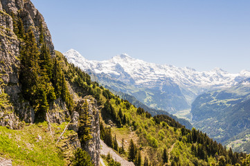 Obraz premium Wilderswil, Dorf, Schynige Platte, Eiger, Mönch, Jungfrau, Berner Oberland, Alpen, Ausflugsberg, Wanderweg, Sommer, Schweiz
