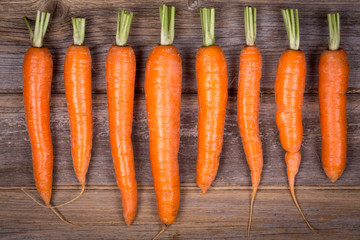 Trimmed carrots in a row