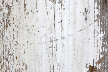 Old cracked white wooden background