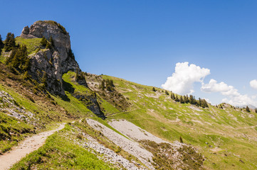 Interlaken, Alpen, Berner Oberland, Schynige Platte, Daube, Oberberghorn, Wanderweg, Wanderferien, Schweizer Berge, Sommer, Schweiz