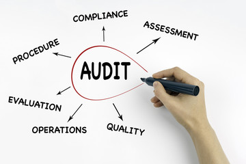 Hand with marker writing: Audit, Business concept