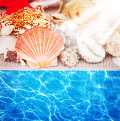 Obraz na płótnie Canvas seashells border and pool water