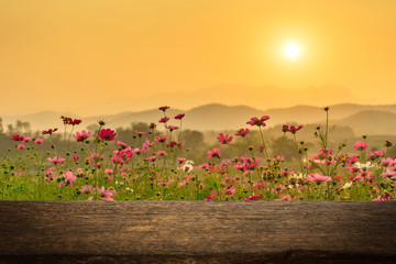 Empty wood table on cosmos flowers in sunset for product display