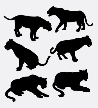 Tiger wild animal silhouette. Good use for symbol, logo, web icon, mascot, game element, sticker design, sign, element, or any design you want. Easy to use.