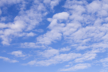 Obraz premium niebieskie chmury w tle.