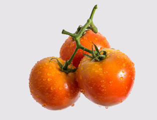 Beautiful bunch of tomatos