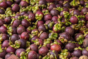 Many of the mangosteen fruit, Thailand