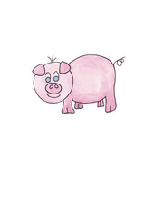 maialino