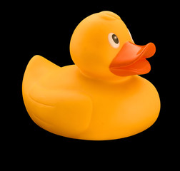 Yellow rubber duck on black background