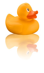 Yellow rubber duck on white background with reflection