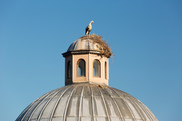 Fototapeta na wymiar Stork on top of the historical '' Isa Bey Mosque '' in Selcuk province,Turkey