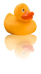 Yellow rubber duck on white background with reflection