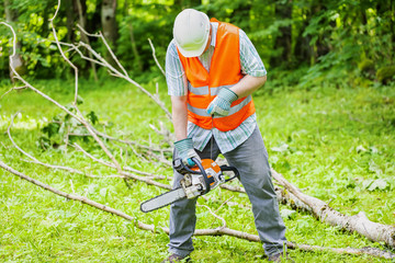 Lumberjack with chainsaw near big tree branch