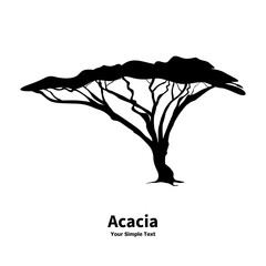 Vector illustration silhouette of an acacia