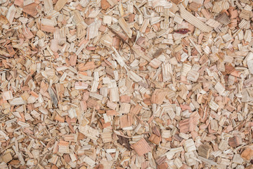 Wood chips texture, wooden background, top view.light brown