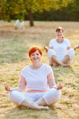 Zwei weiblichen Senioren machen Yoga