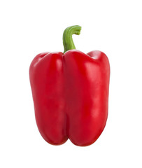 Fresh colorful sweet bell pepper ( capsicum ) isolated on a white background.