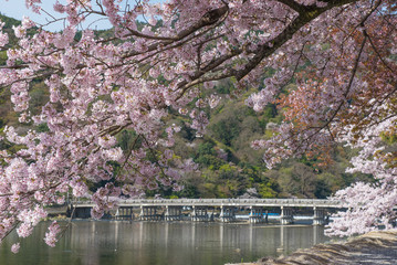 Obraz na płótnie Canvas Arashiyama in spring