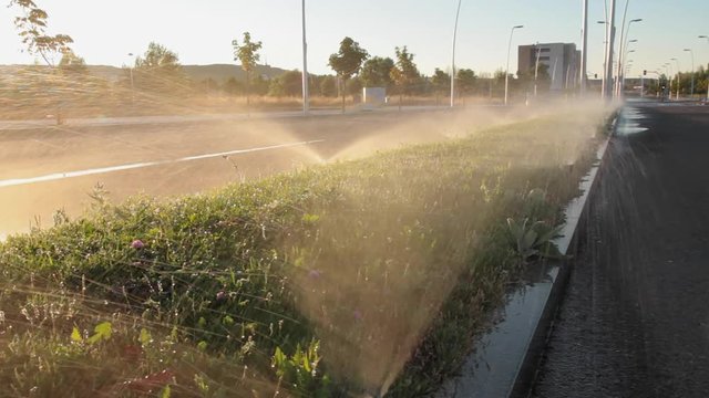 Riego por Aspersion en la Mediana de una Avenida
