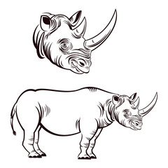Fototapeta na wymiar Rhinoceros