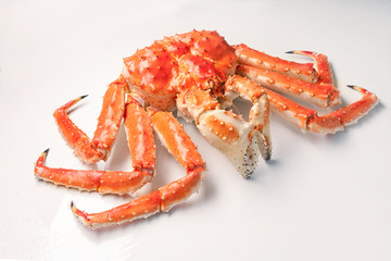 Large red king kamchatsky crab on white background