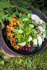 dish with fried chanterelles, cucumbers and chicken