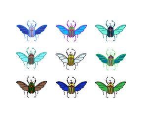 vector colored beetles