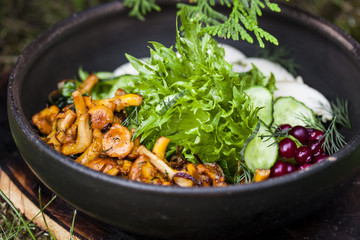 dish with fried chanterelles, cucumbers and chicken