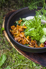 dish with fried chanterelles, cucumbers and chicken