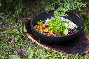 dish with fried chanterelles, cucumbers and chicken