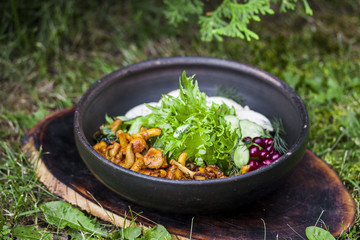 dish with fried chanterelles, cucumbers and chicken