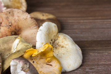Freshly gathered mushrooms on wooden background