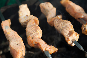 Salmon on skewers
