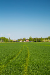 Scenery in the area around Bramki, a village in the administrative district of Gmina Błonie, within Warsaw West County, in east-central Poland
